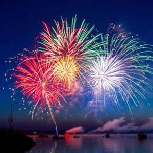 Meet your Posher, Daisy